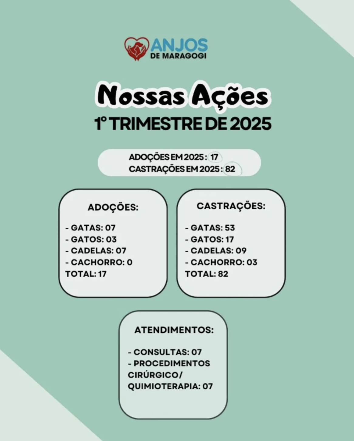 Anjos de Maragogi - Photo 3