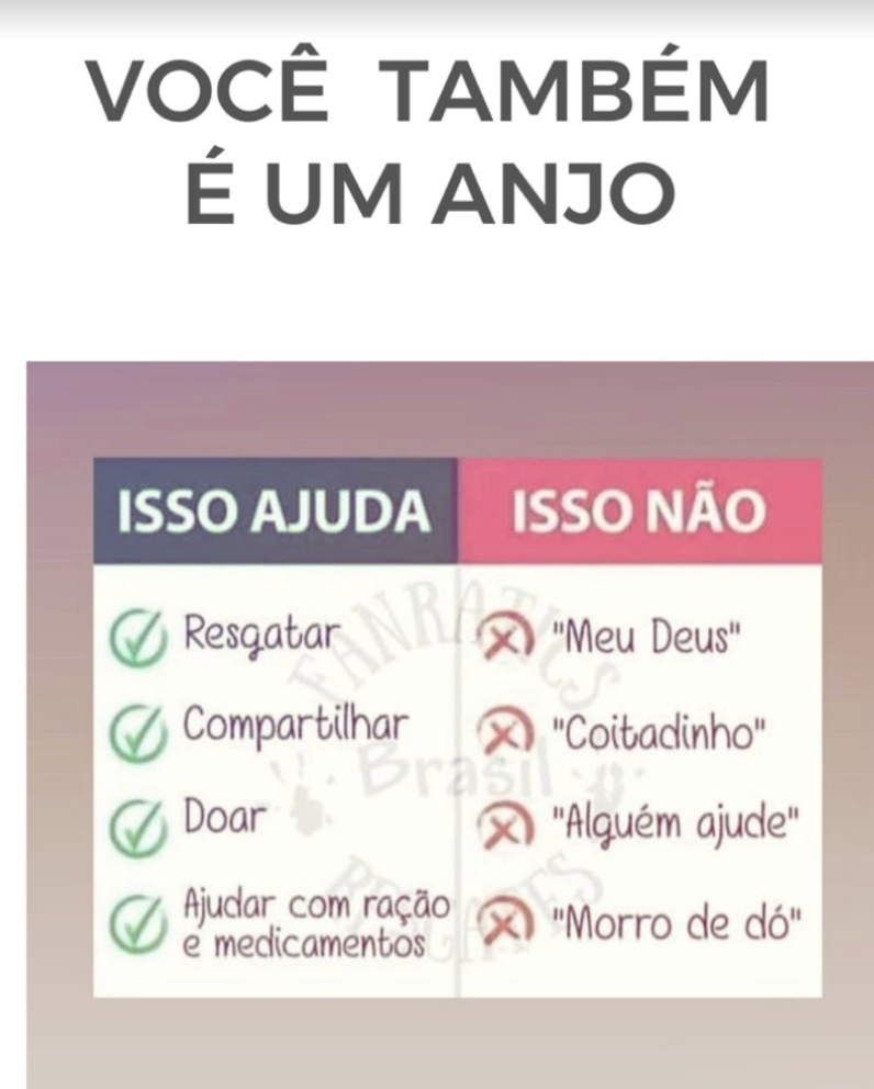 Anjos de Maragogi - Photo 4