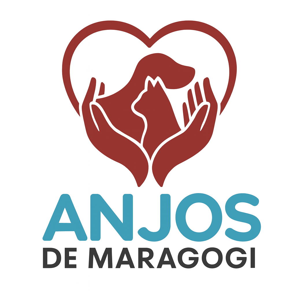 Anjos de Maragogi - Photo 1