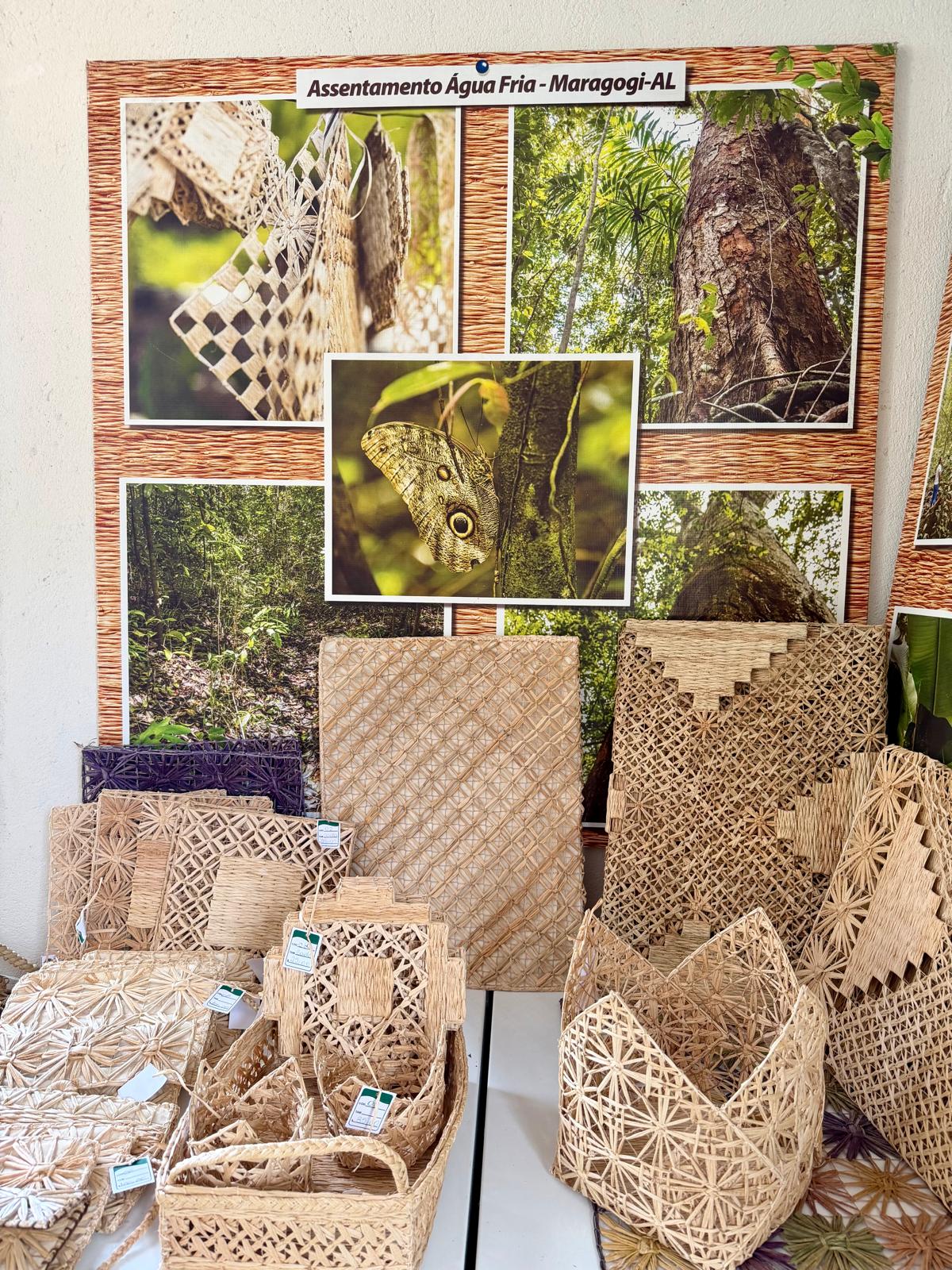 Mulheres de Fibra - Photo 1