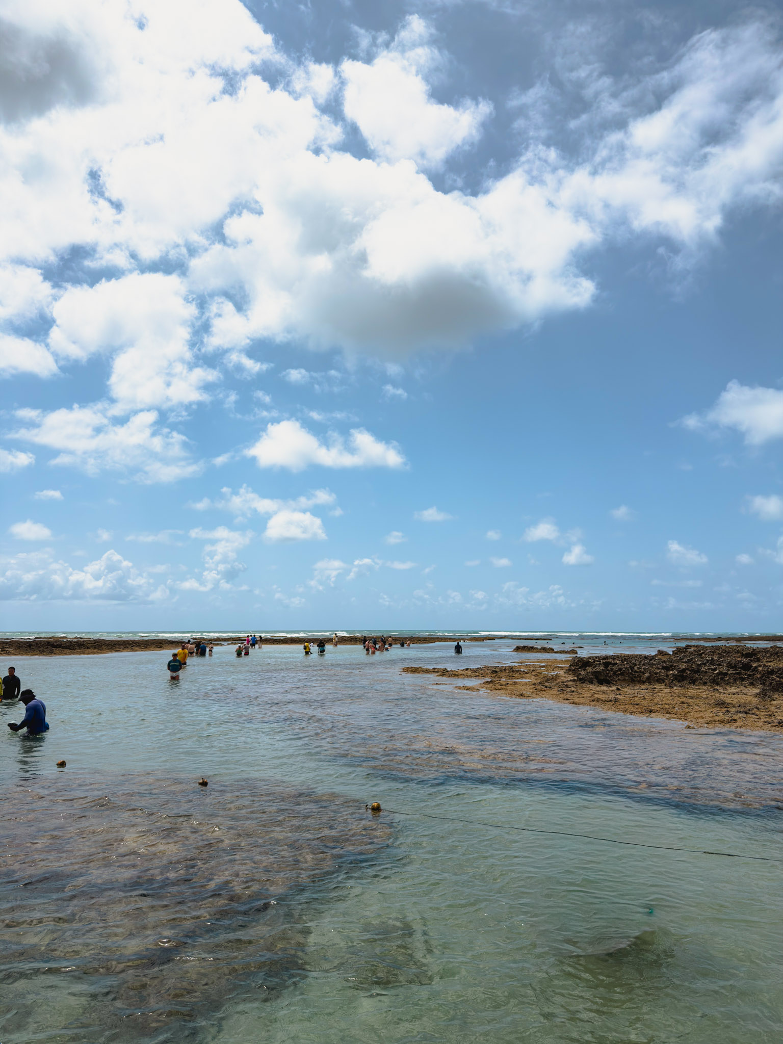 Ponta de Mangue - Photo 2