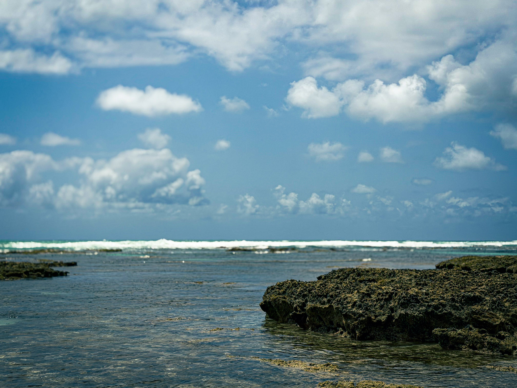 Ponta de Mangue - Photo 4