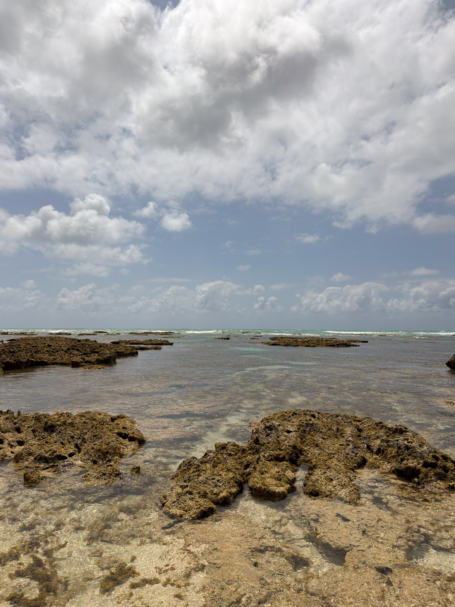 Ponta de Mangue - Photo 3