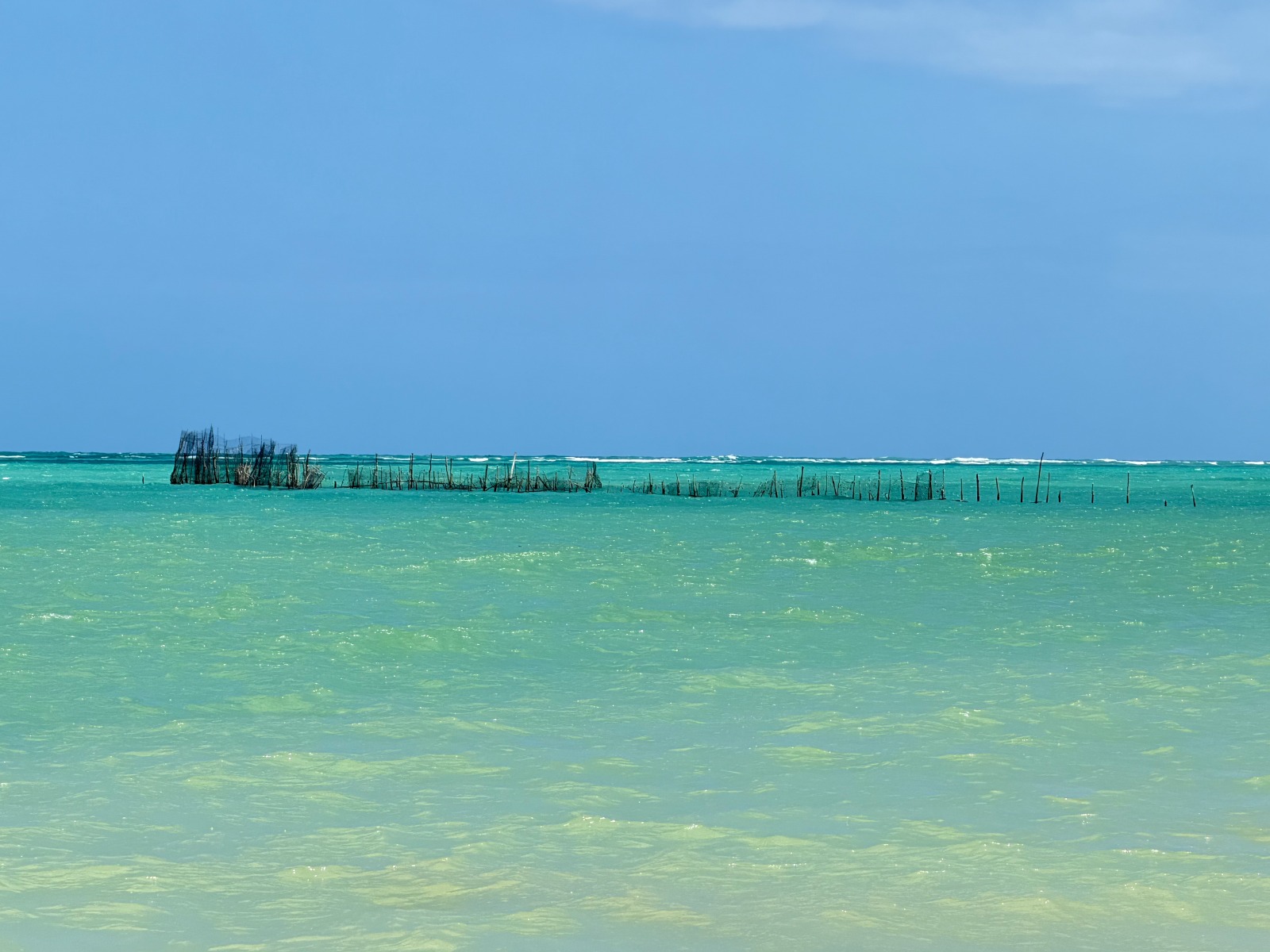 Ponta de Mangue - Photo 5