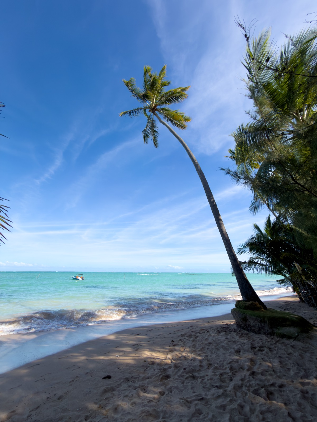 Ponta de Mangue - Photo 3