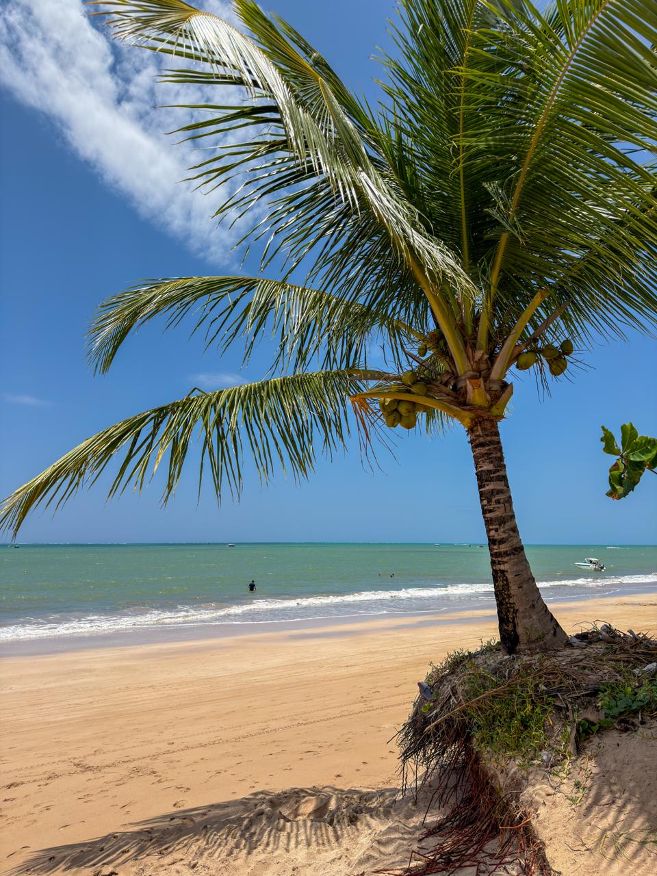 Praia do Toque - Photo 2