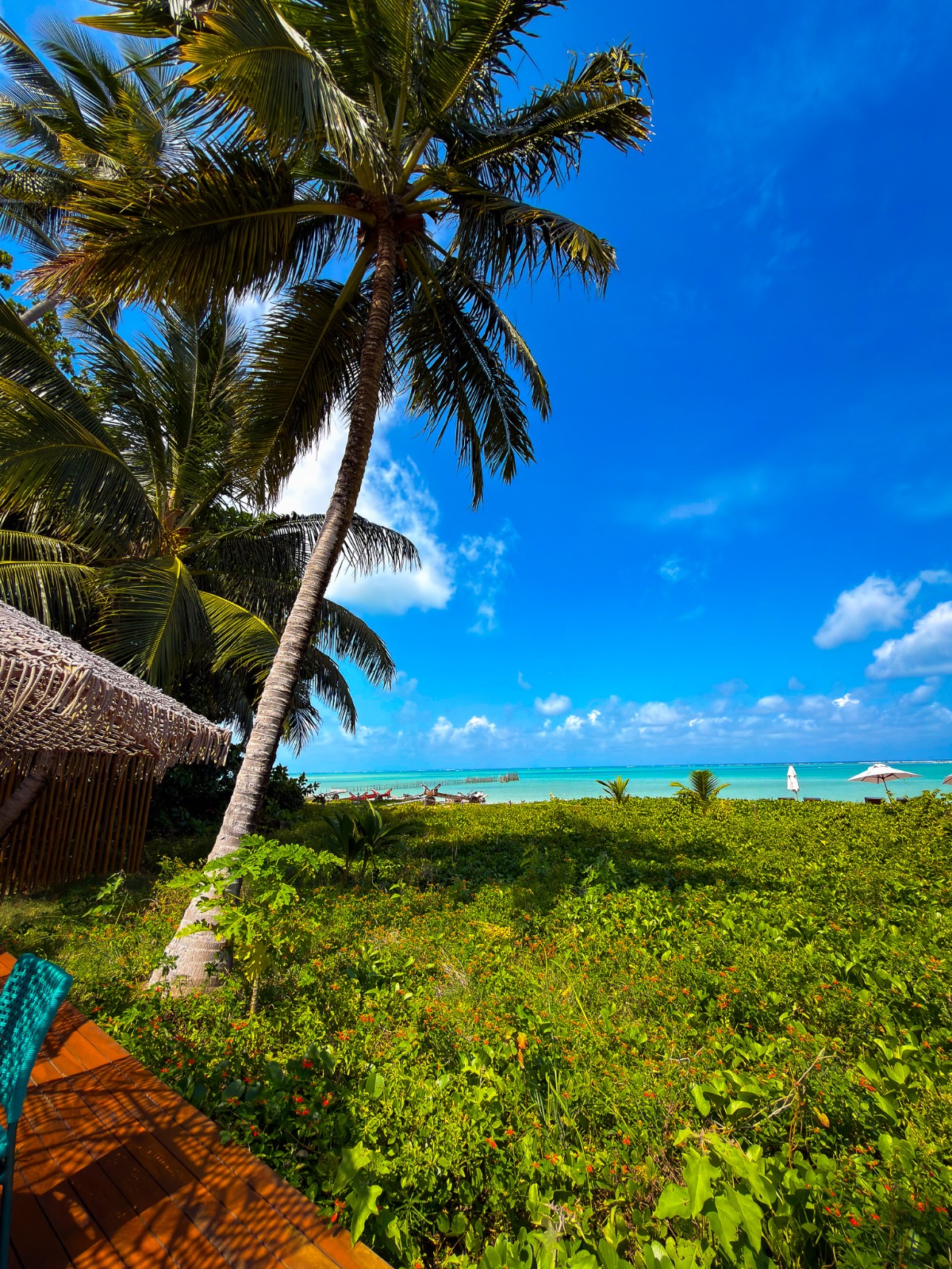 Marina's Bar & Restaurante - Photo 3