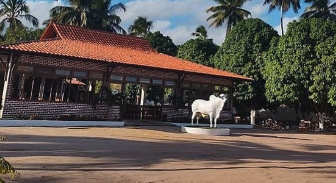 Churrascaria Nelorao Grill - Photo 3