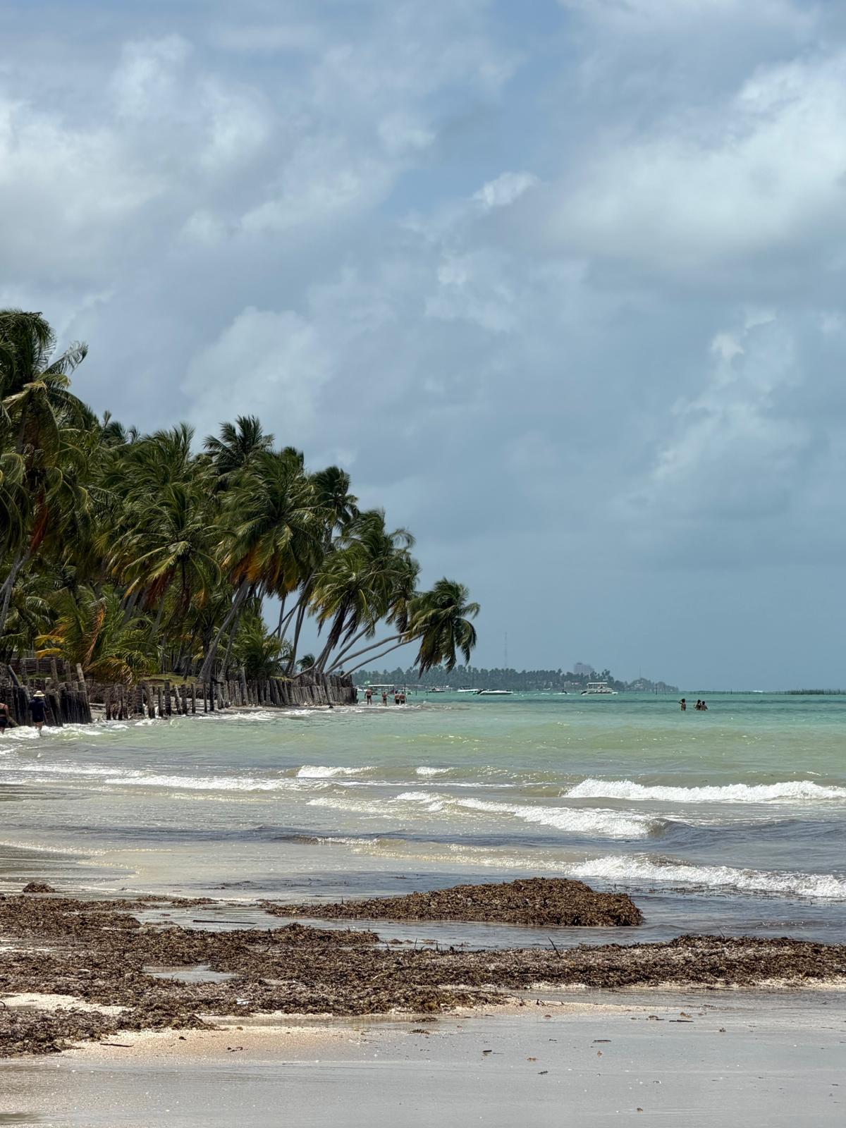 Maragogi Coast-to-Coast Buggy Tour - Photo 4