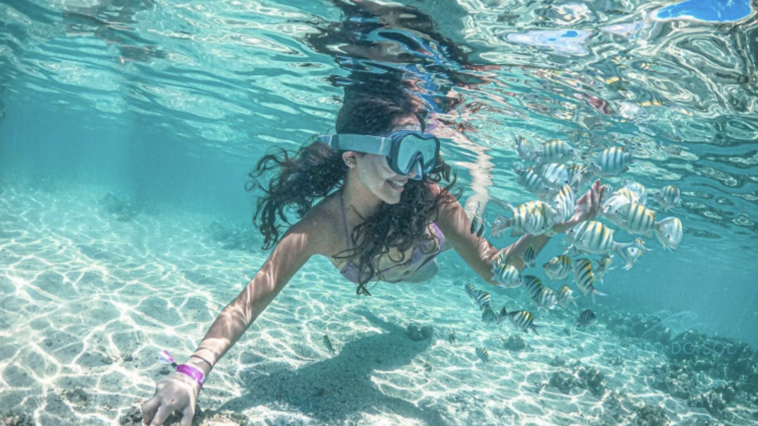 3 en 1 - Exclusivo - Foto 3