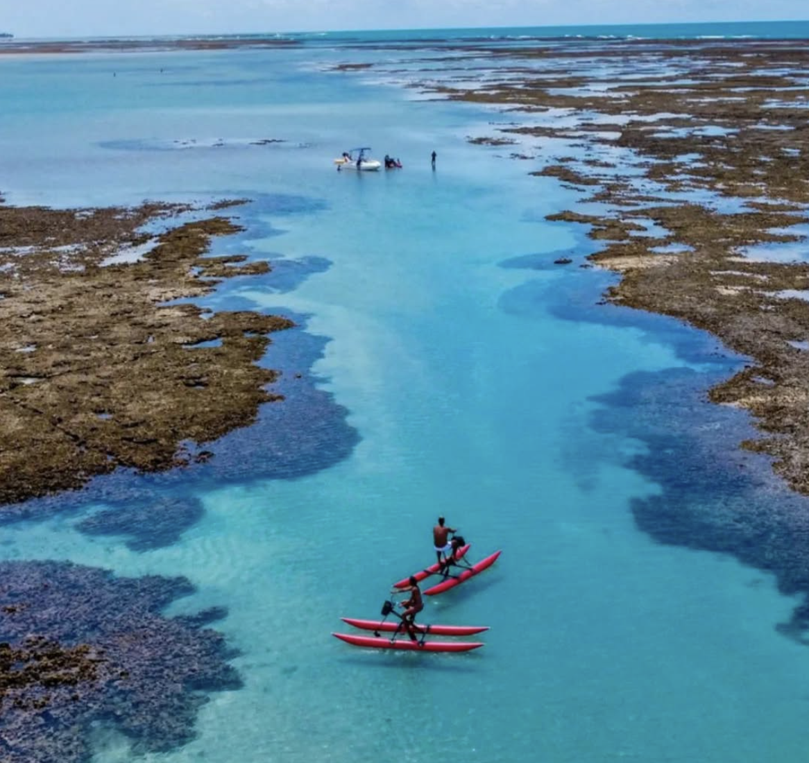 Water Bike - HR Bikes - Photo 5