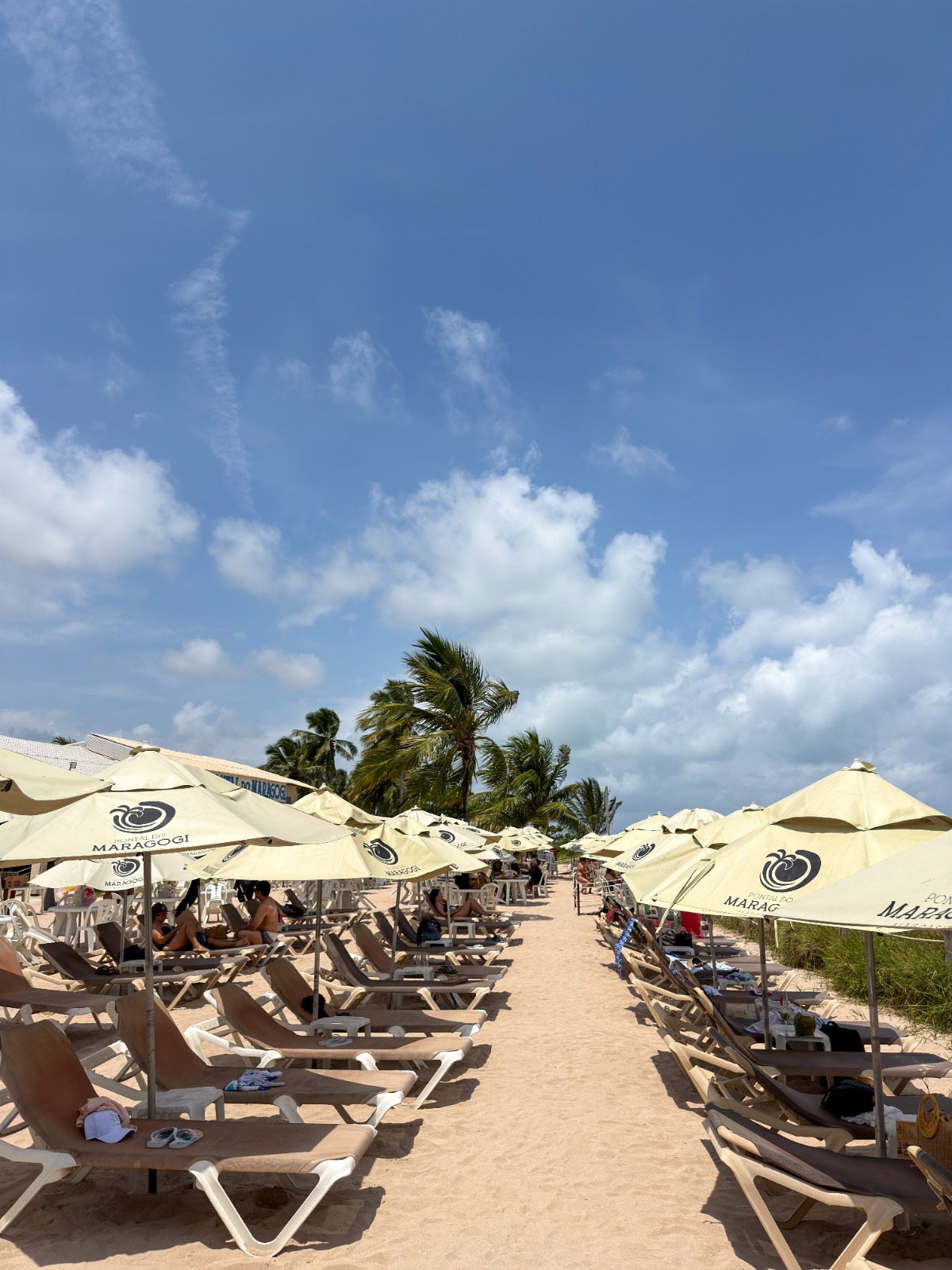 Pontal do Maragogi - Photo 5